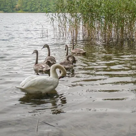 Mragowo Sniadowo Σπίτι διακοπών