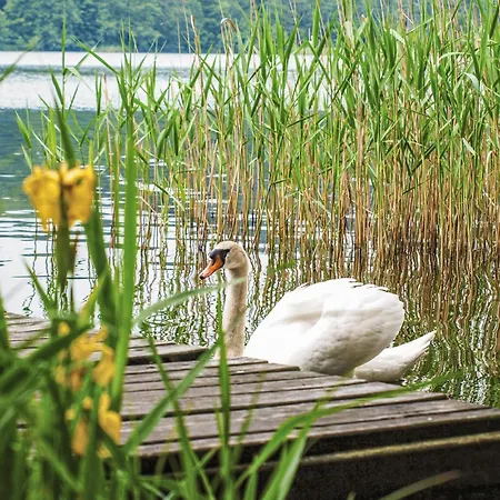 Σπίτι διακοπών Mragowo Sniadowo *