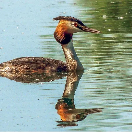 Mragowo Sniadowo Σπίτι διακοπών *